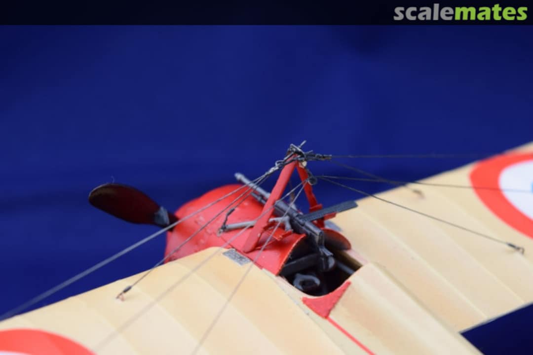 View album, image #14 View album, image #14