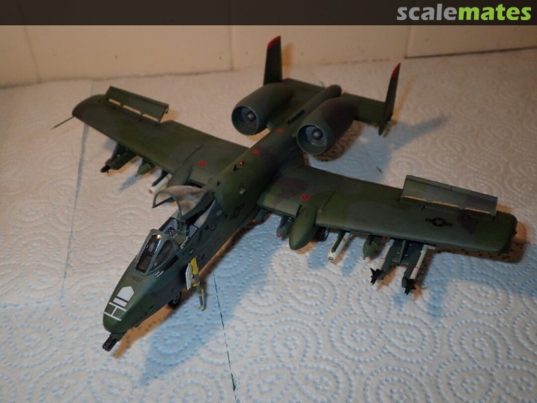 View album, image #1 View album, image #1