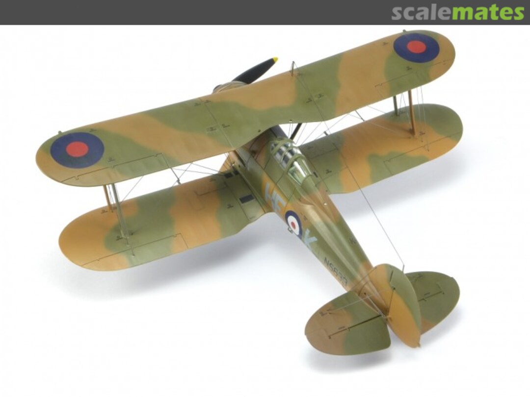 View album, image #1 View album, image #1