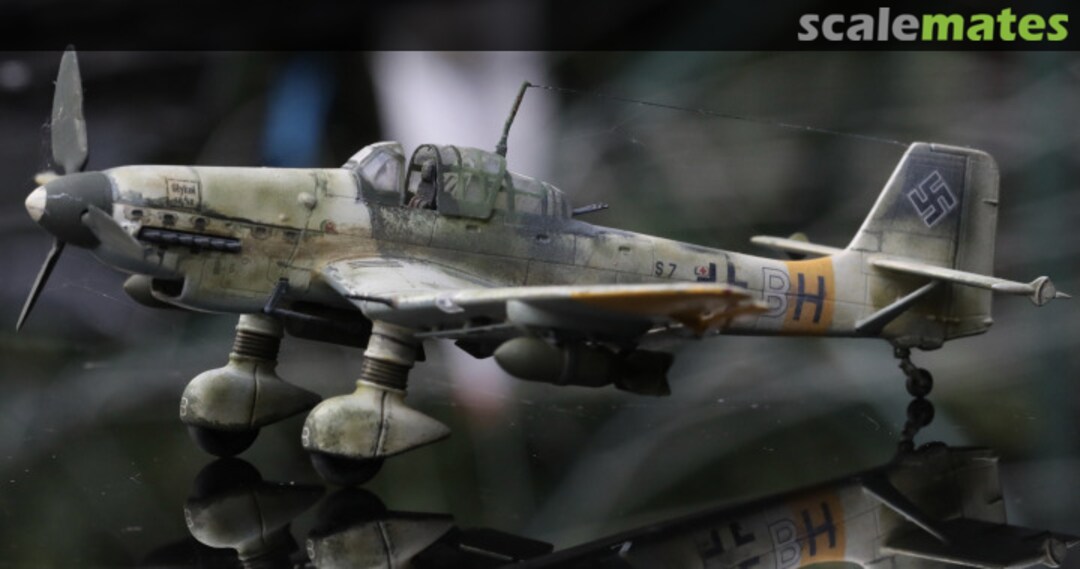 View album, image #1