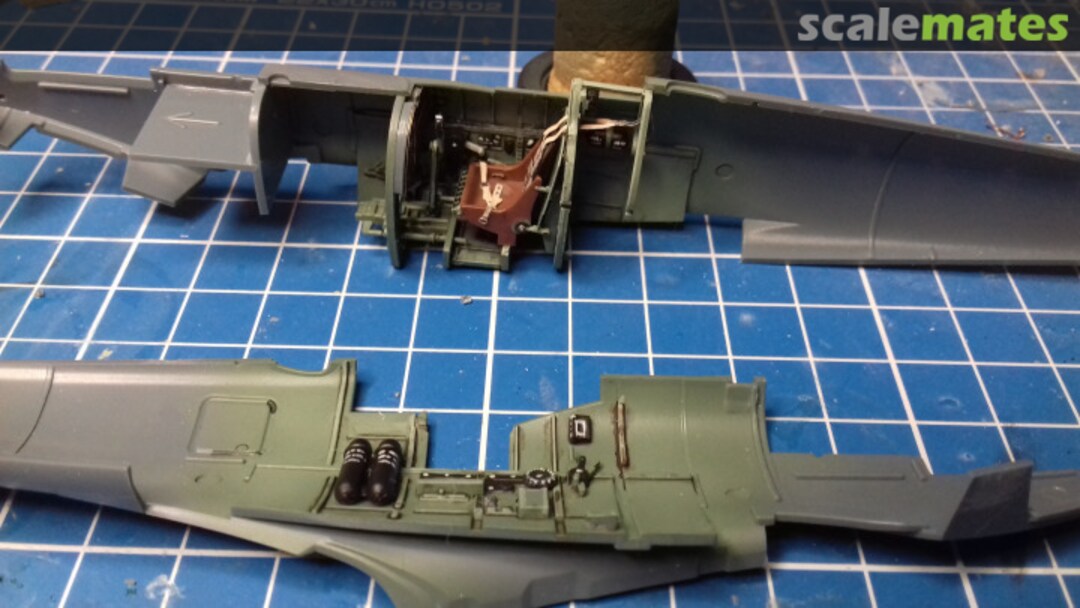 View album, image #1