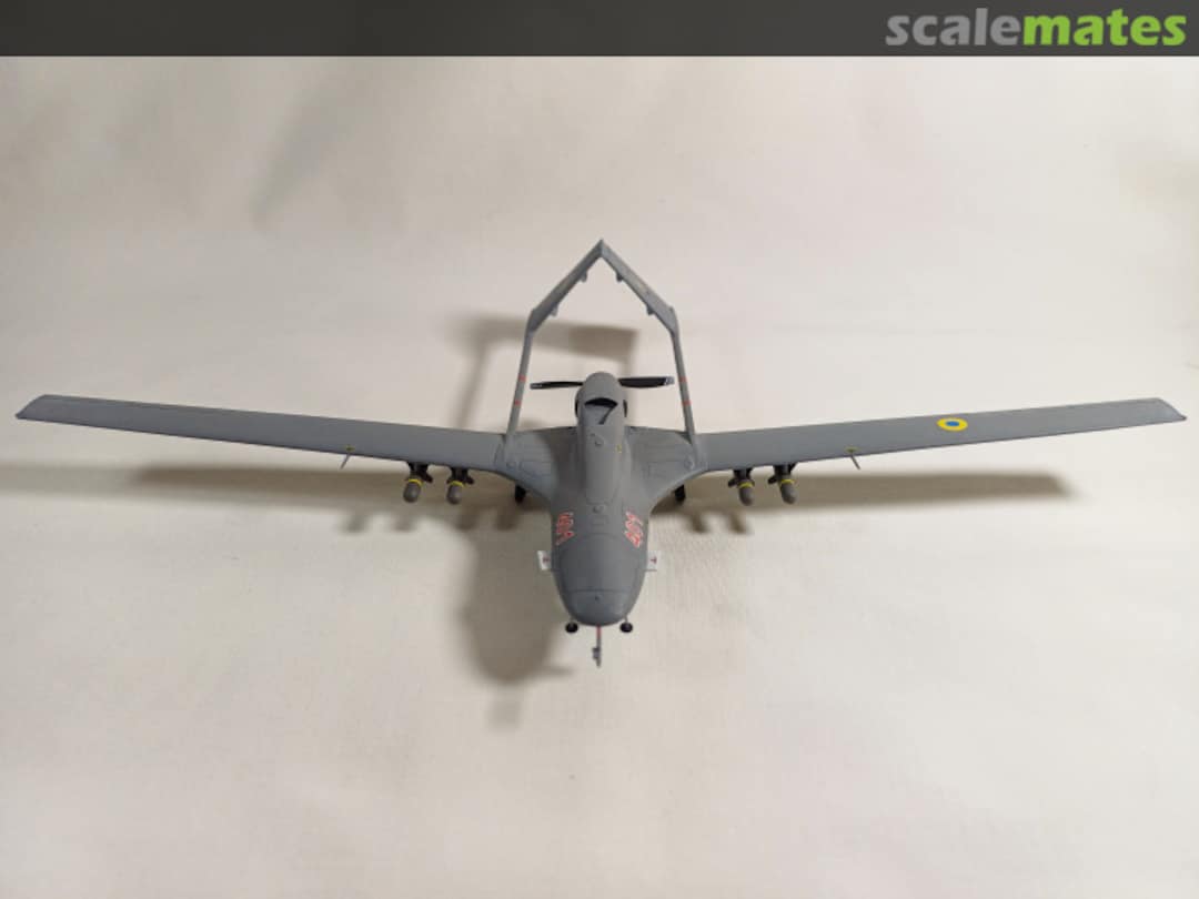 View album, image #1 View album, image #1