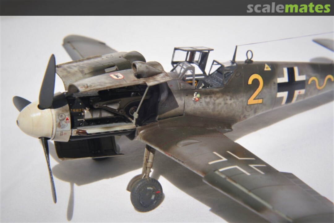 View album, image #1 View album, image #1