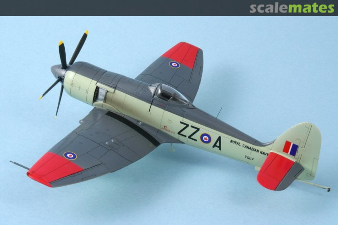 View album, image #1