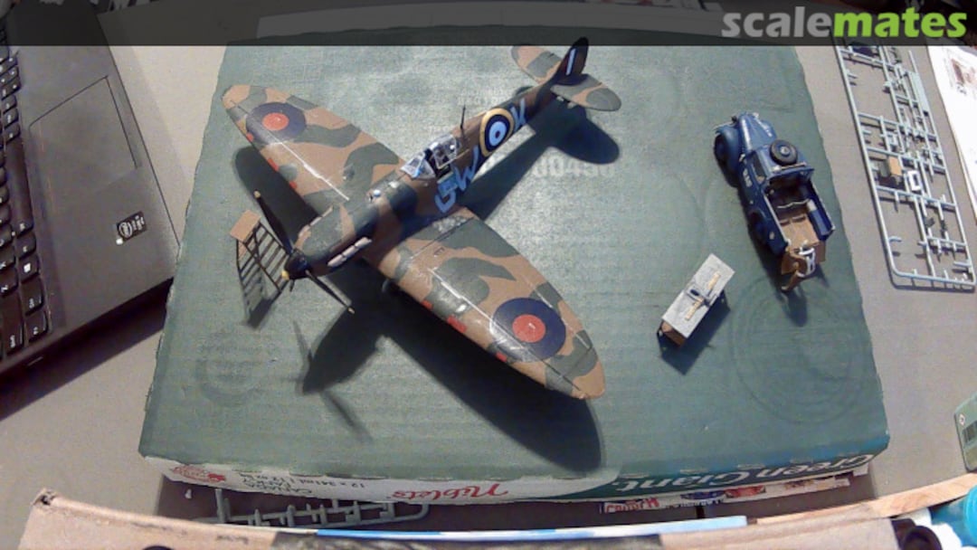 View album, image #1 View album, image #1