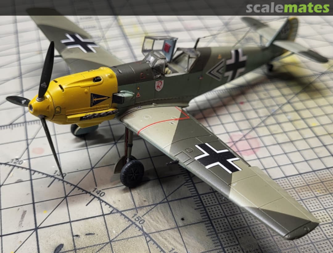 View album, image #1 View album, image #1