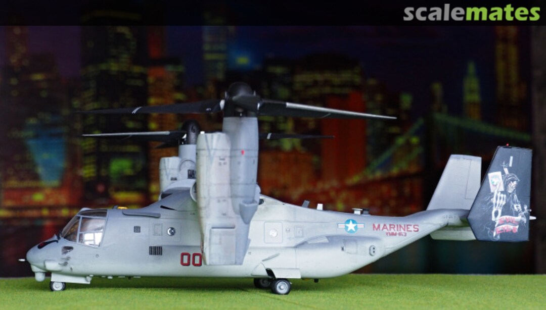 View album, image #1 View album, image #1