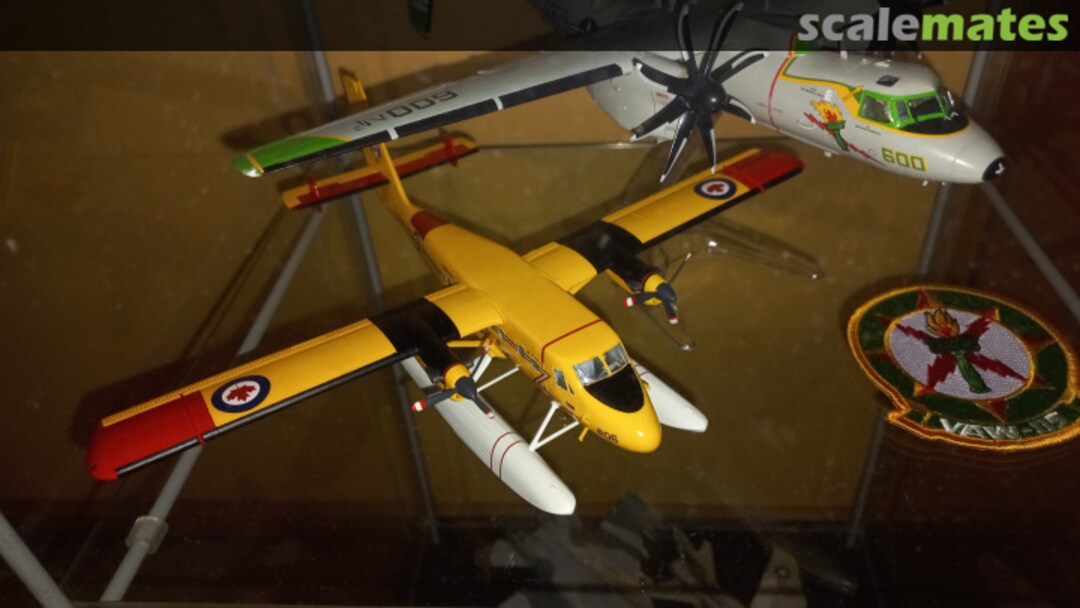 View album, image #33 View album, image #33