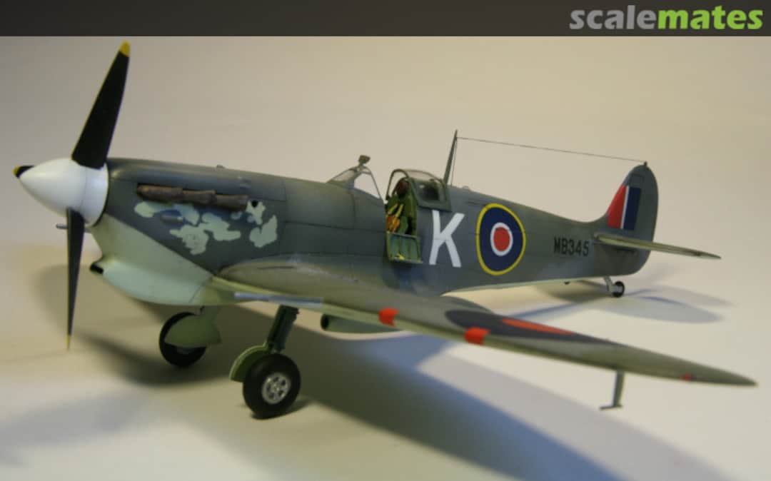 View album, image #1 View album, image #1