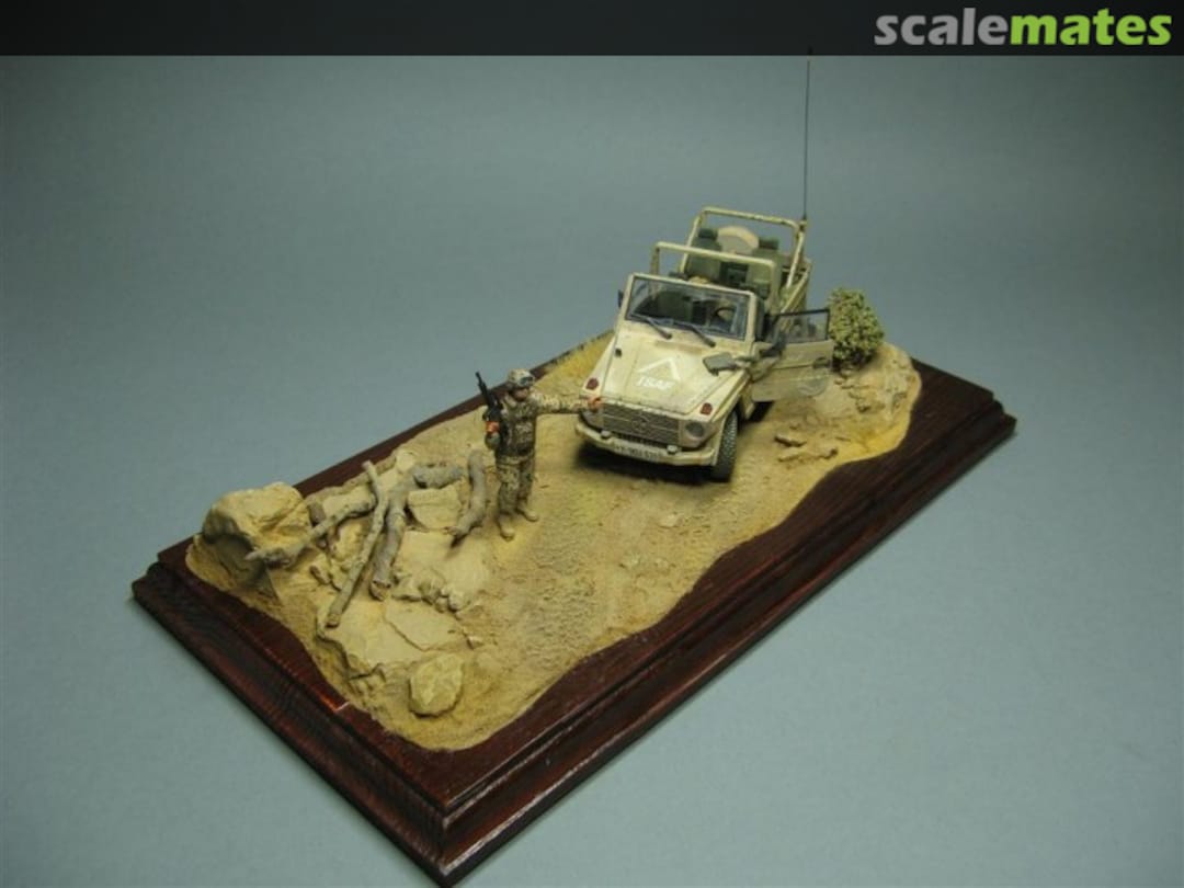 View album, image #1