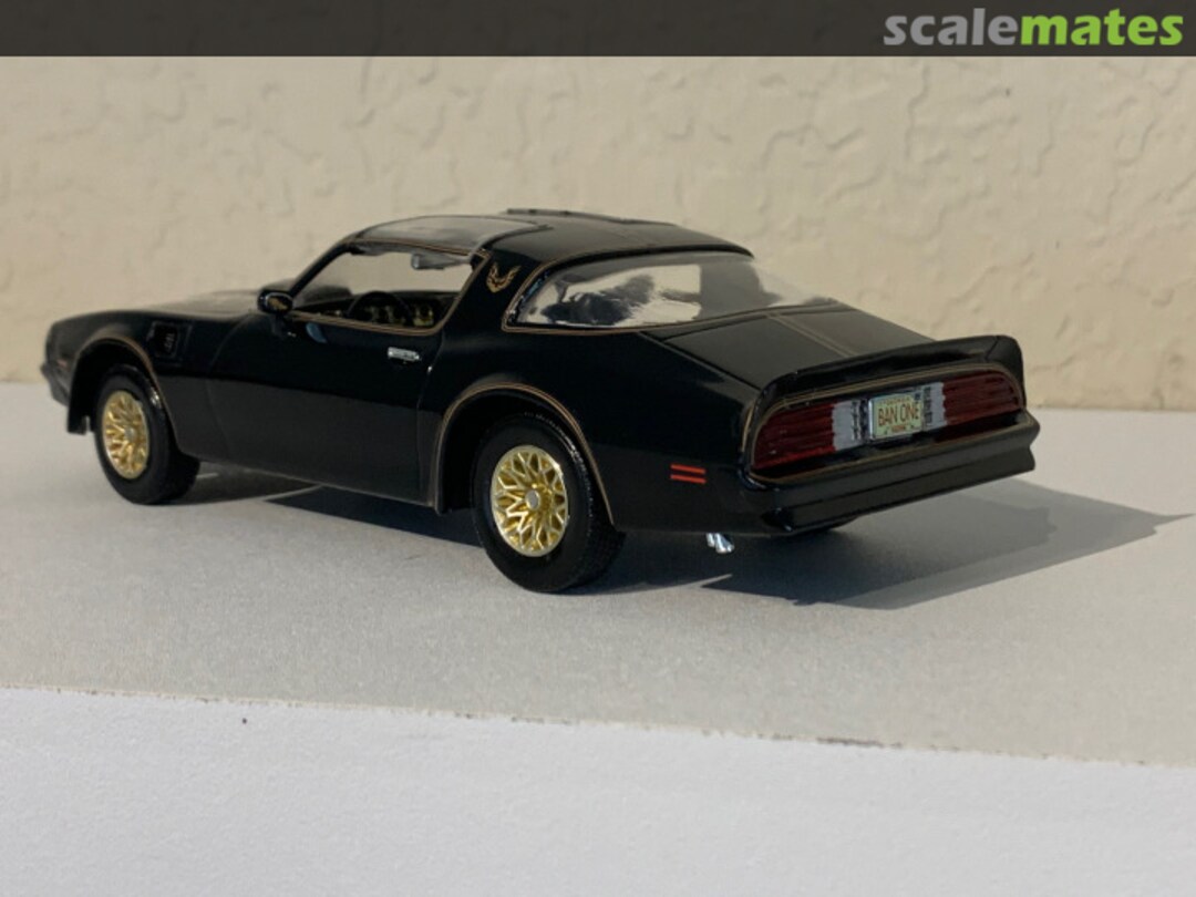 View album, image #1 View album, image #1