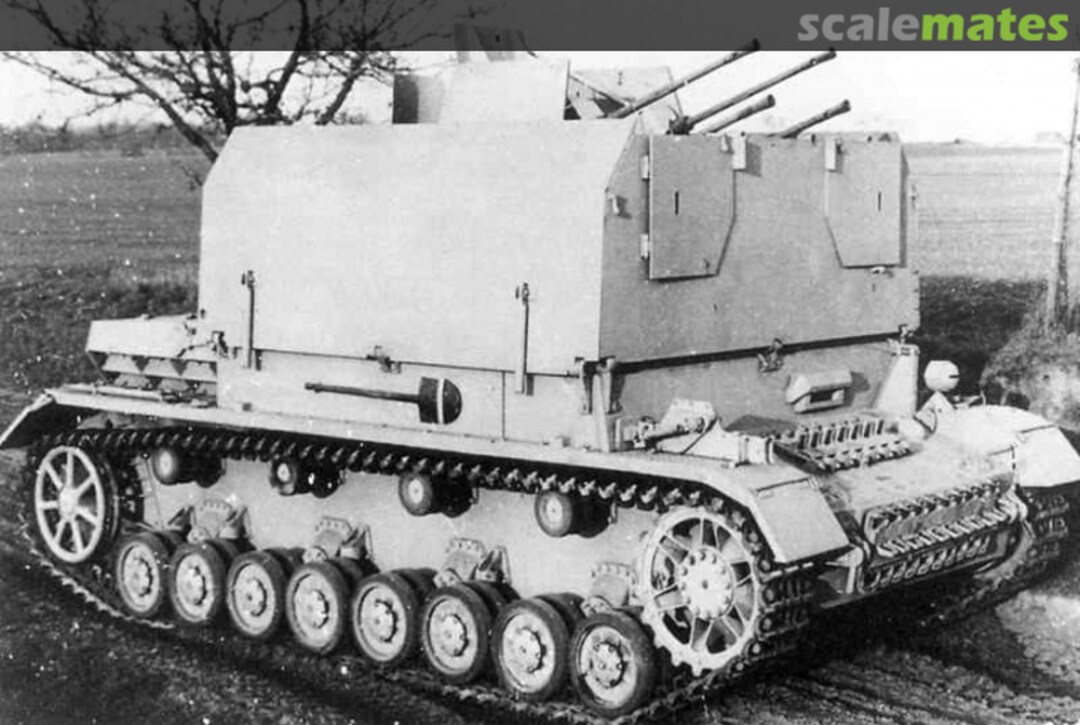 View album, image #1 View album, image #1