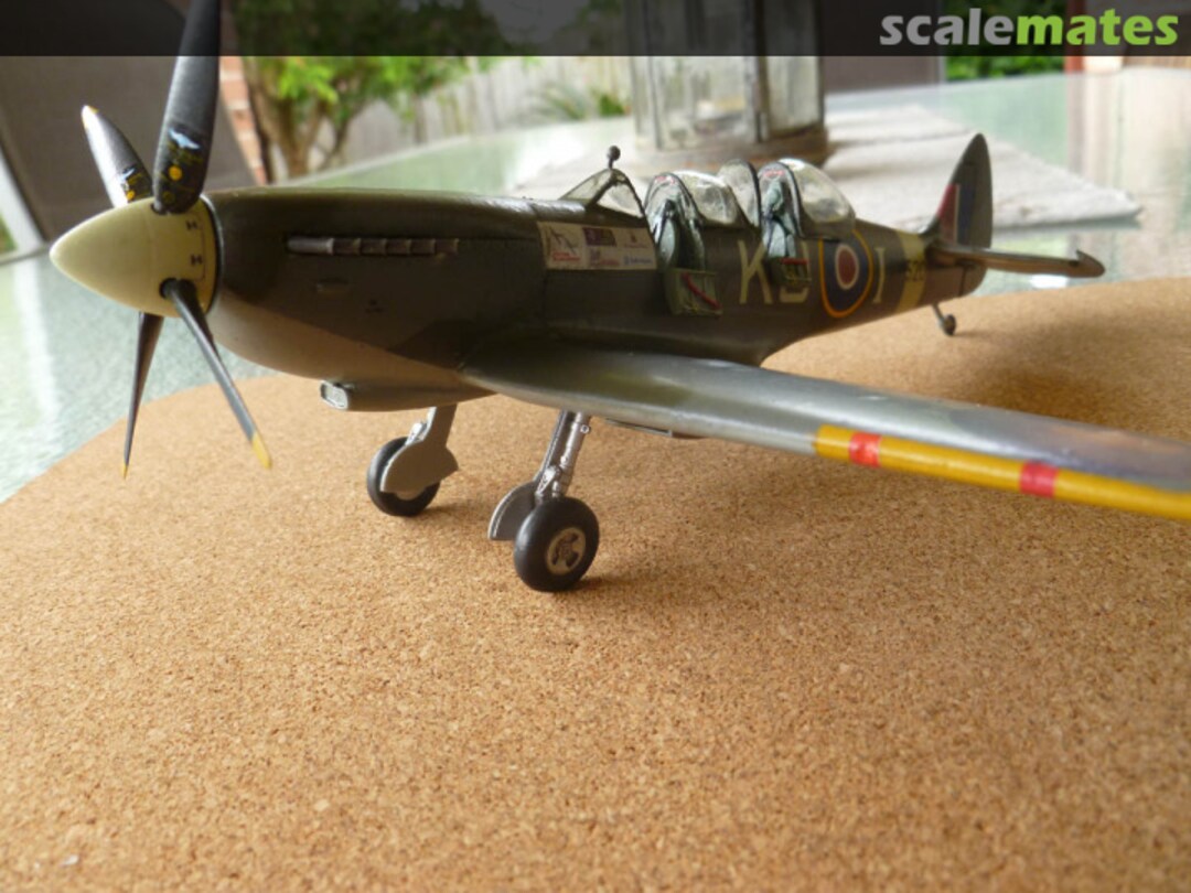 View album, image #16 View album, image #16