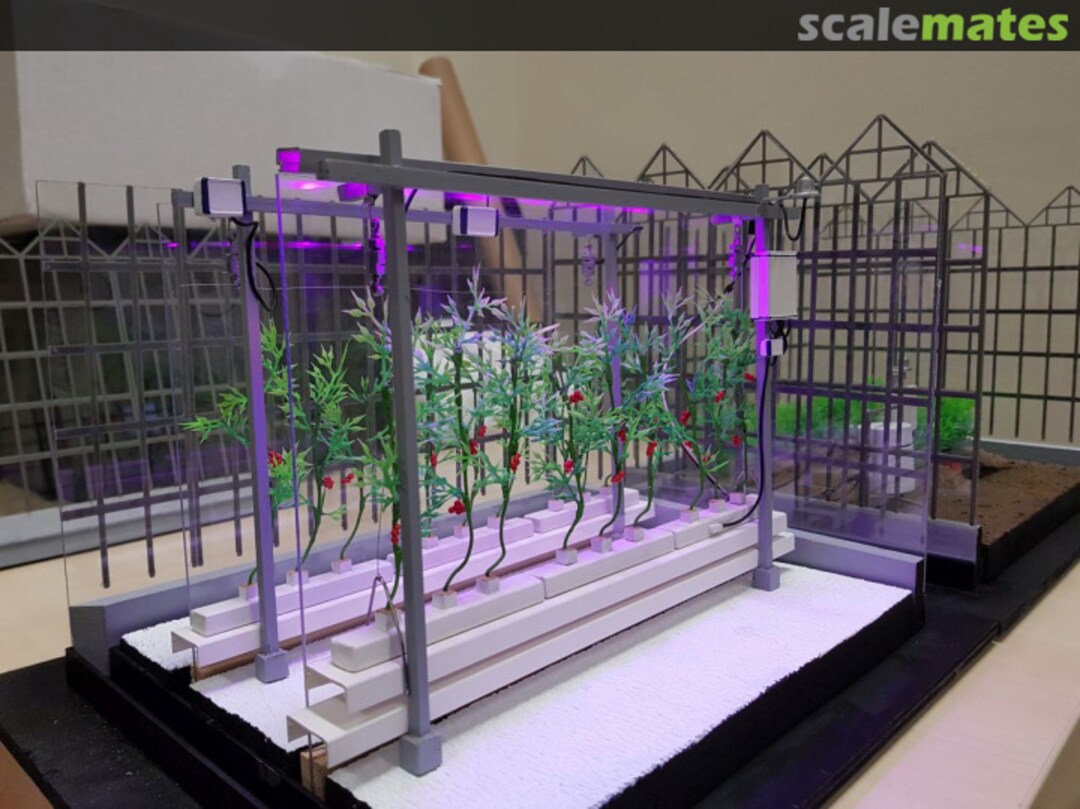 View album, image #1 View album, image #1