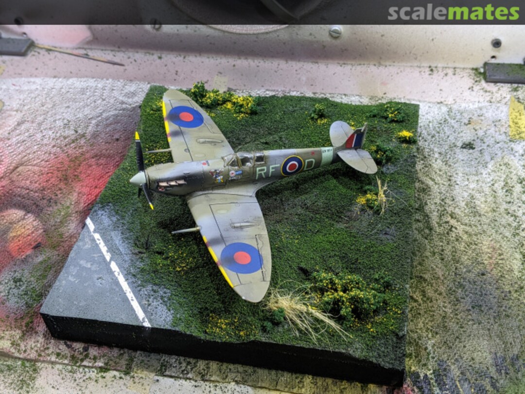 View album, image #5 View album, image #5