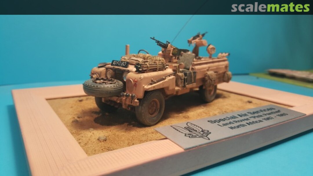 View album, image #1 View album, image #1