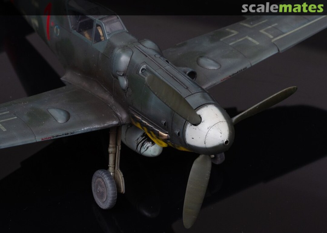 View album, image #1