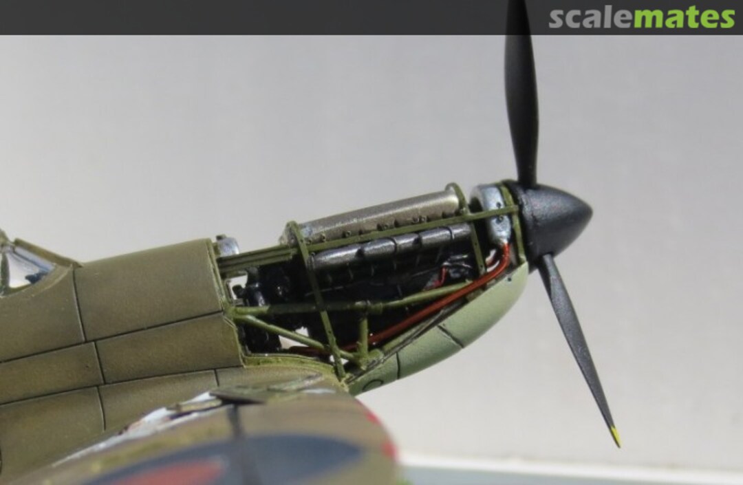 View album, image #9