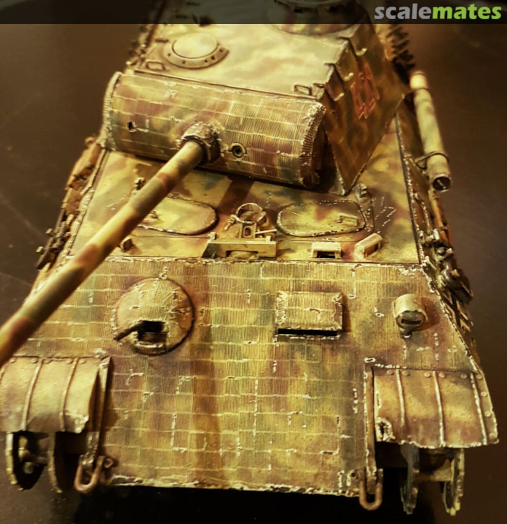 View album, image #1 View album, image #1