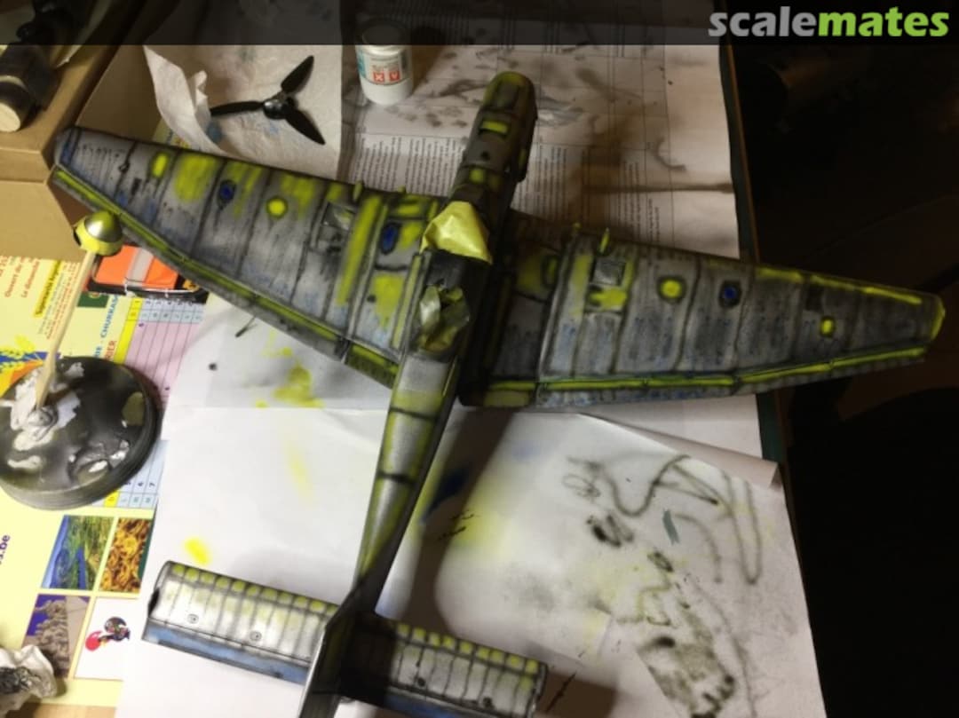 View album, image #1 View album, image #1