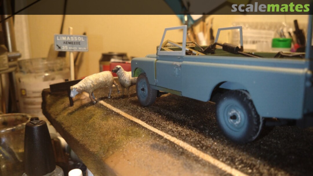 View album, image #10 View album, image #10