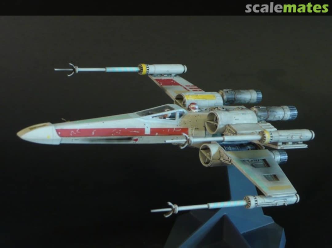 View album, image #1 View album, image #1