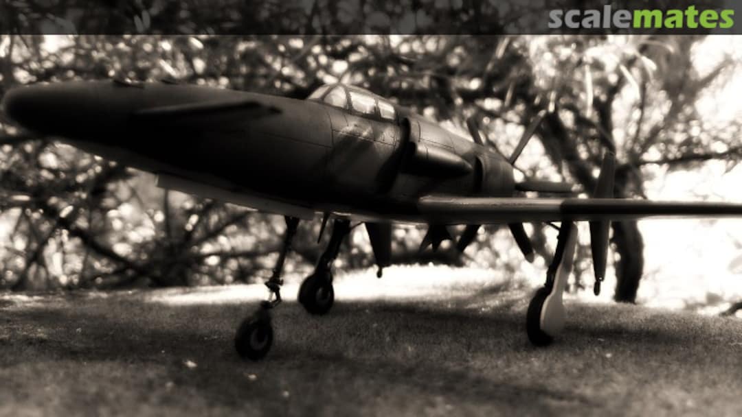 View album, image #1