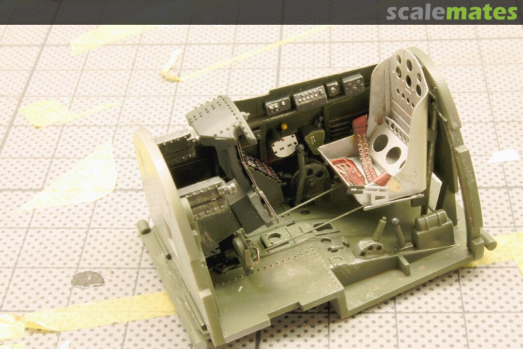 View album, image #8 View album, image #8