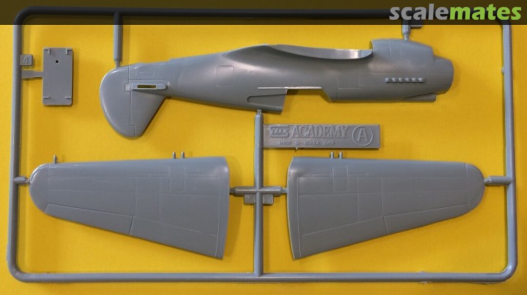 View album, image #1