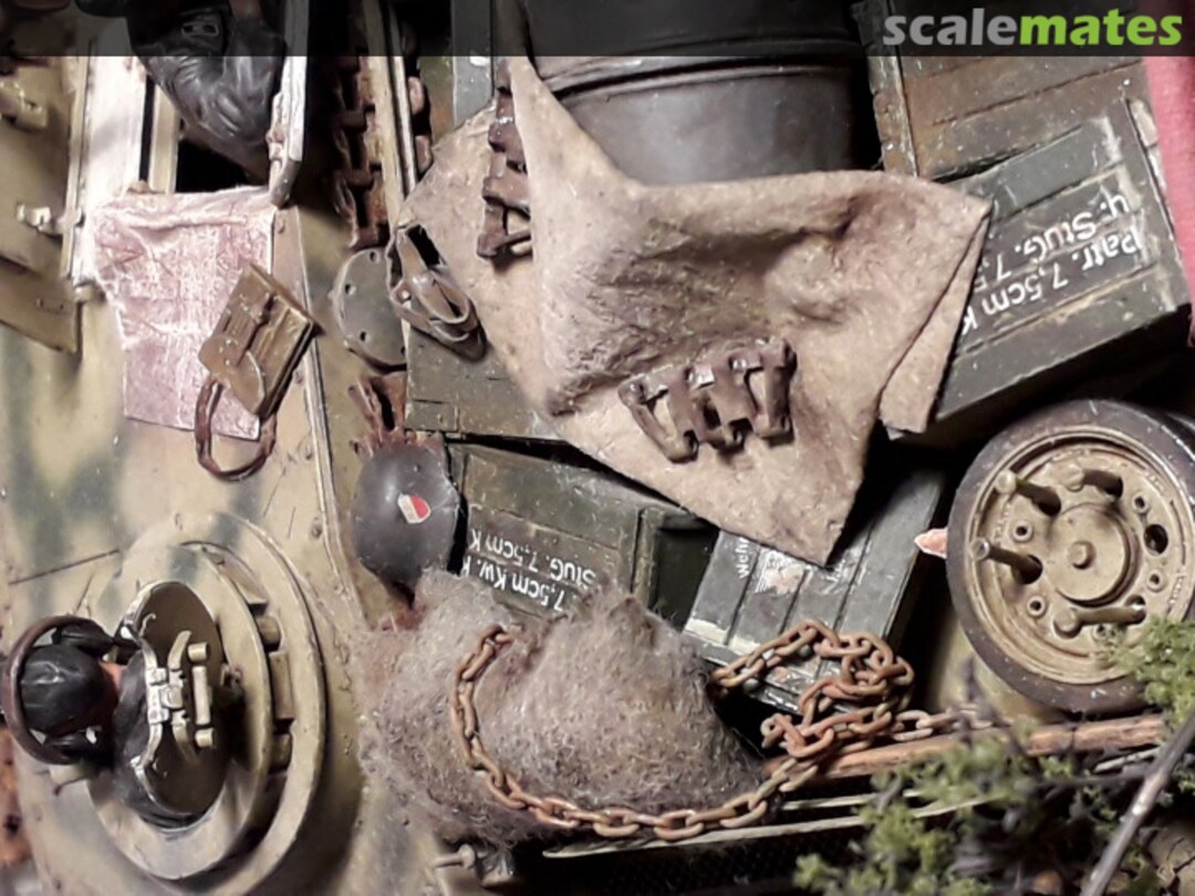 View album, image #1 View album, image #1