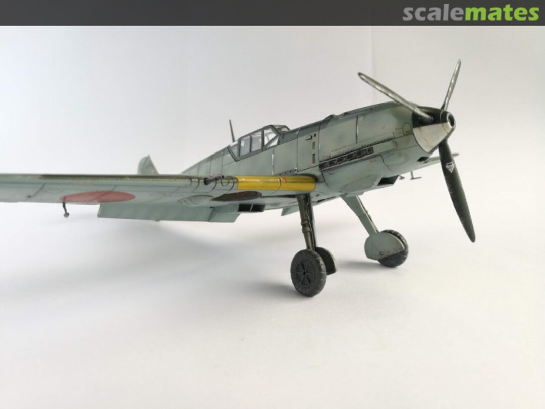 View album, image #1 View album, image #1