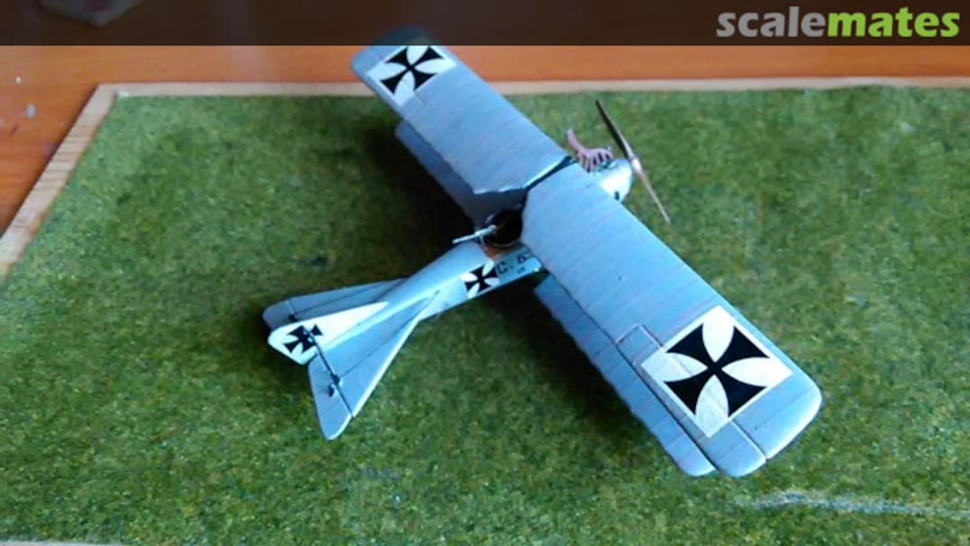 View album, image #6 View album, image #6