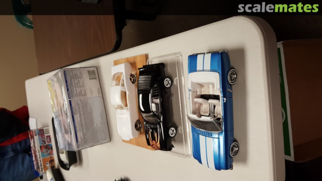 View album, image #16 View album, image #16