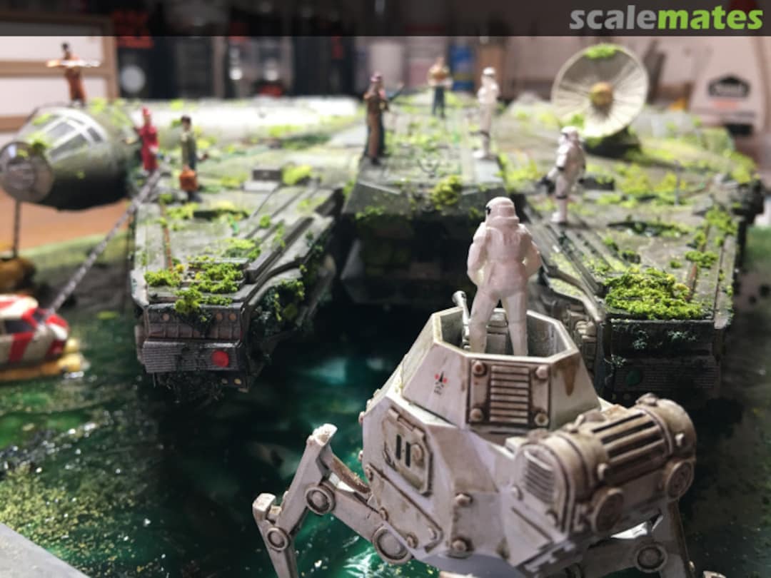 View album, image #25 View album, image #25