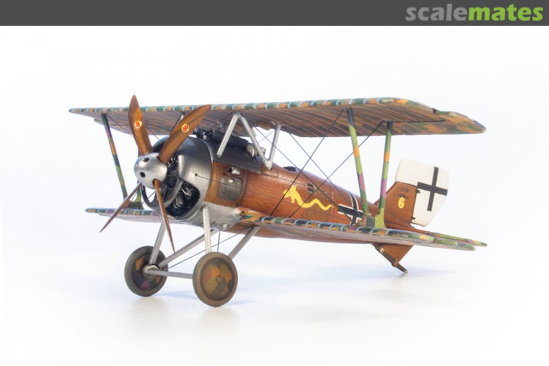 View album, image #3 View album, image #3