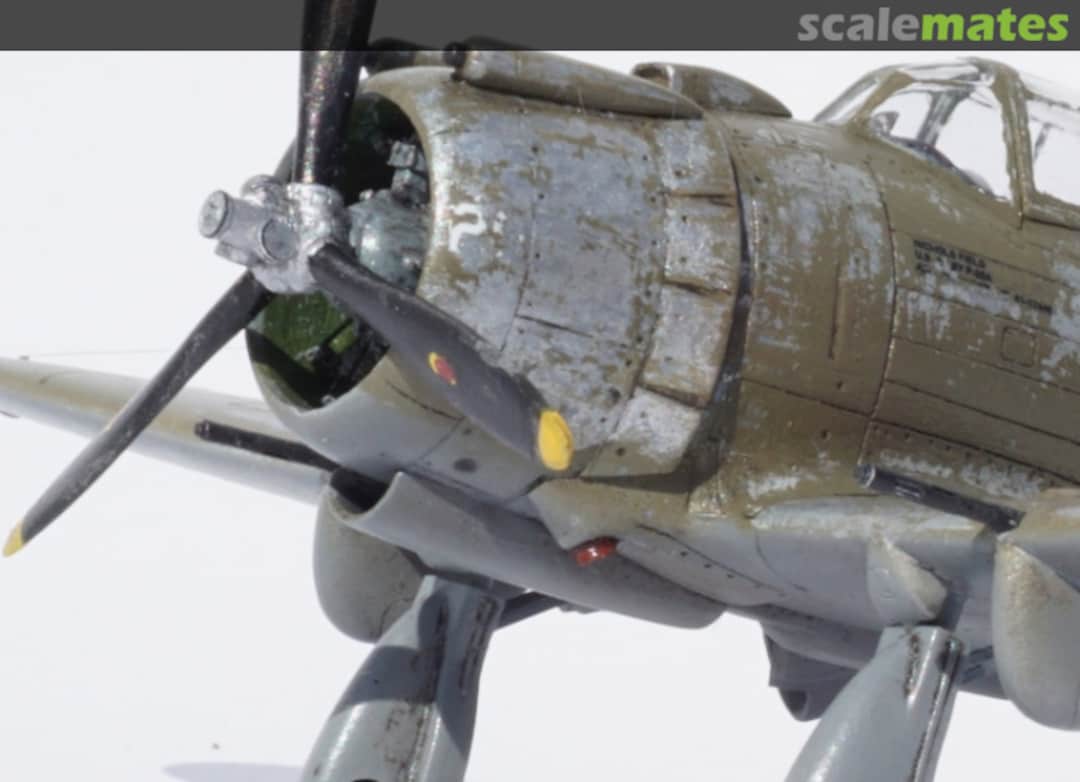 View album, image #4 View album, image #4