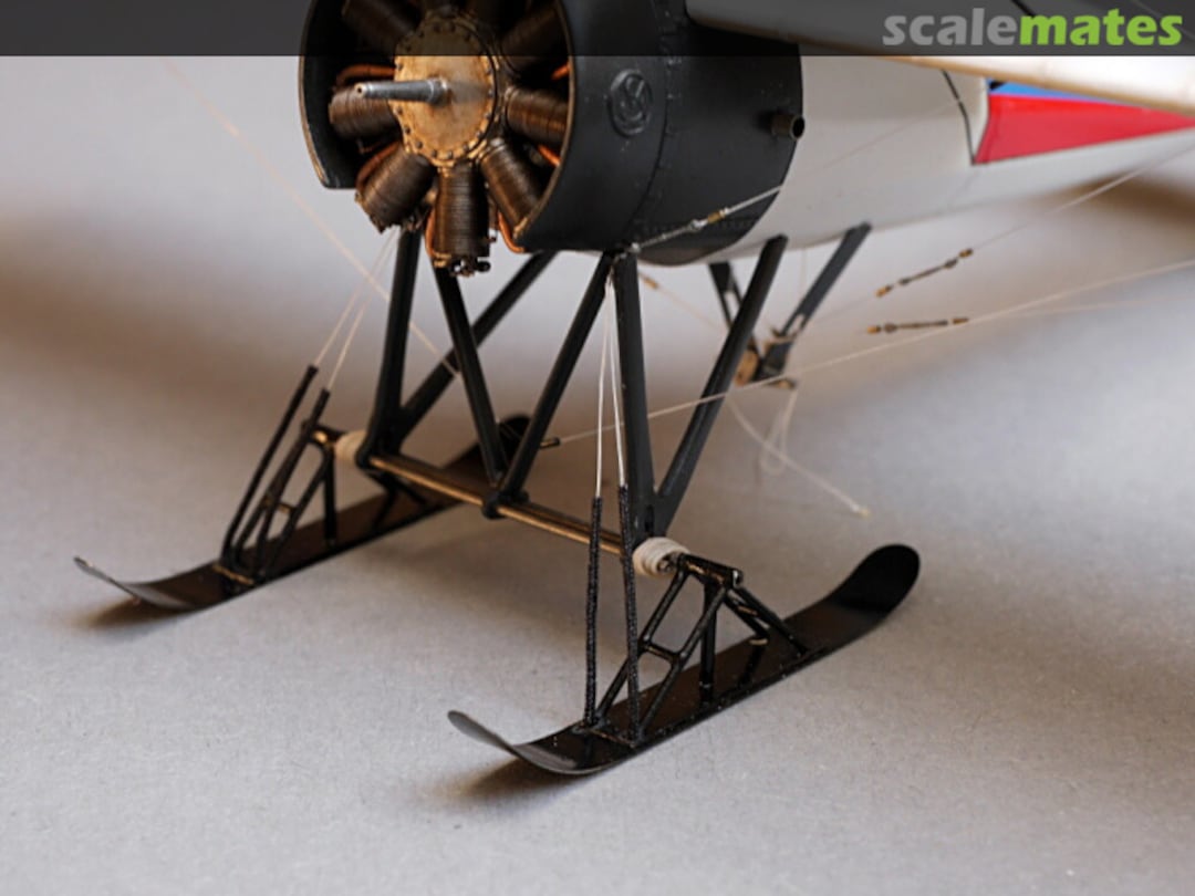 View album, image #75 View album, image #75