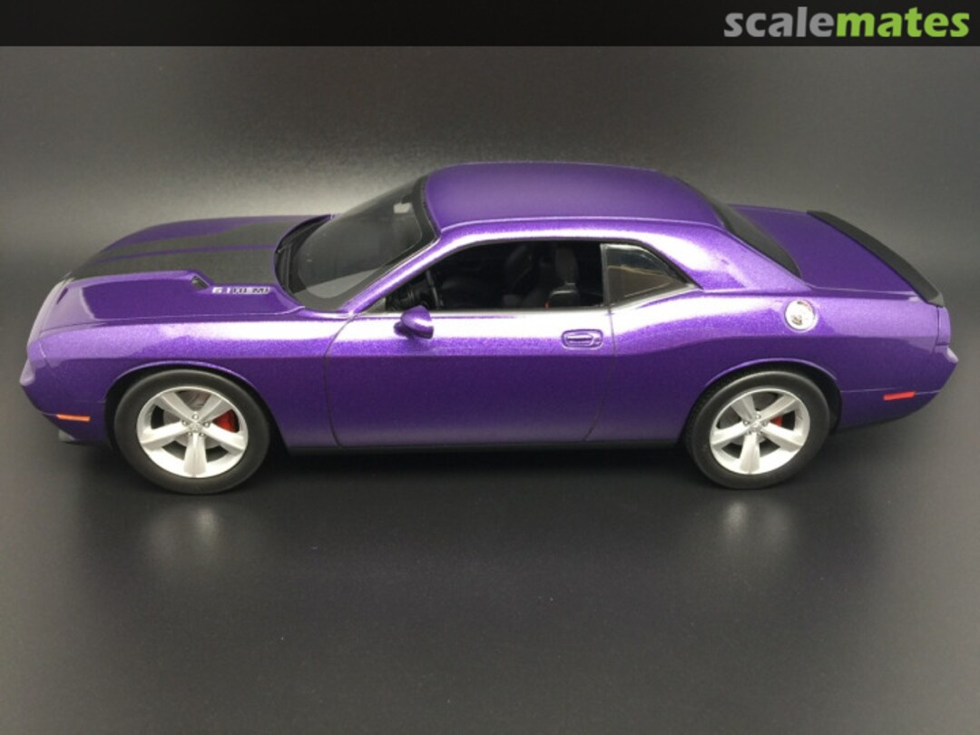 View album, image #1 View album, image #1