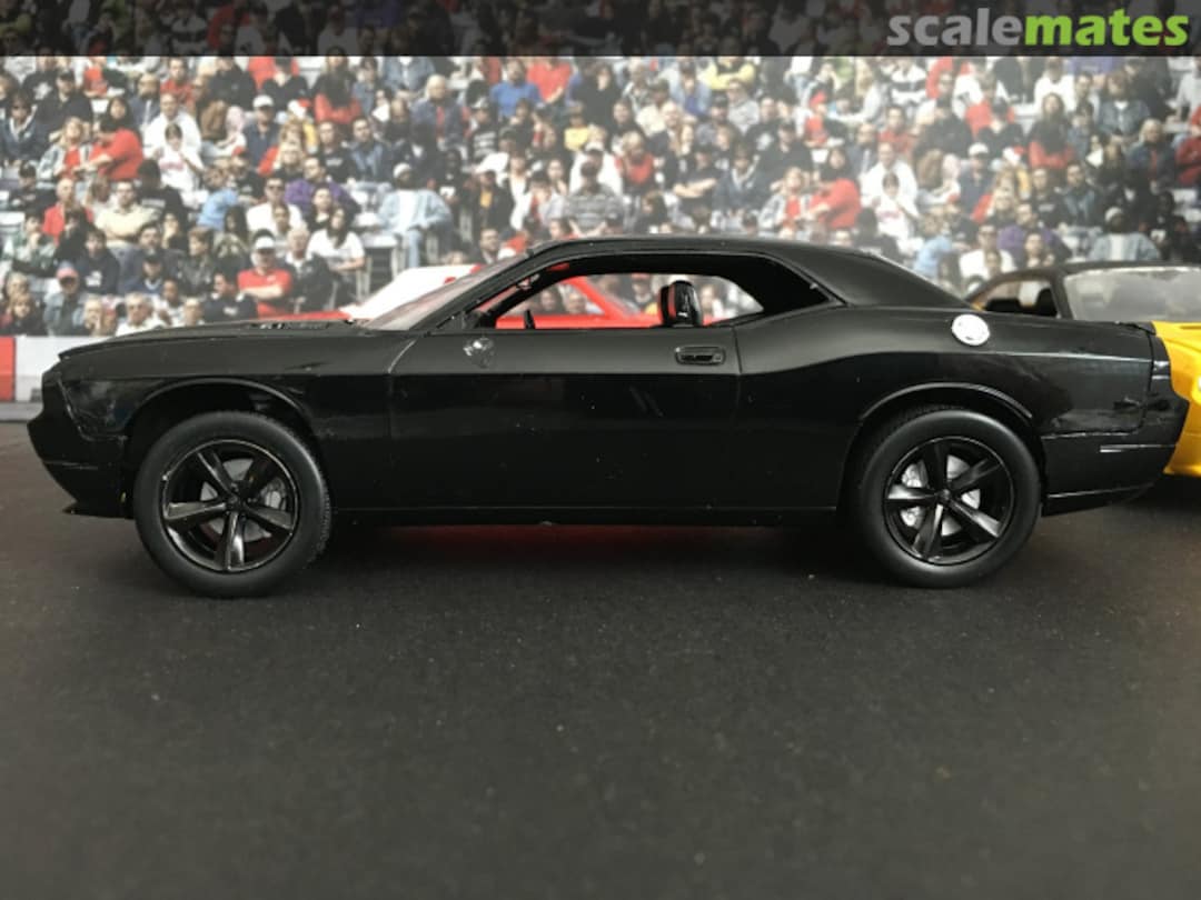 View album, image #1 View album, image #1