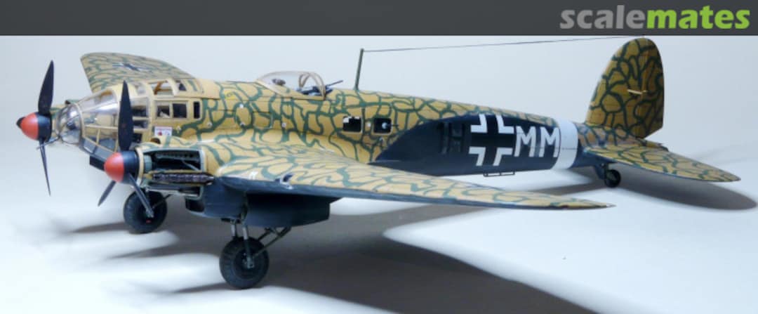 View album, image #1 View album, image #1