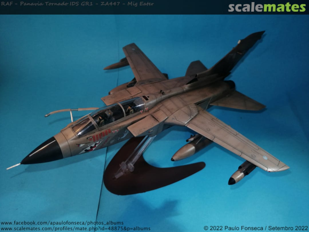 View album, image #67