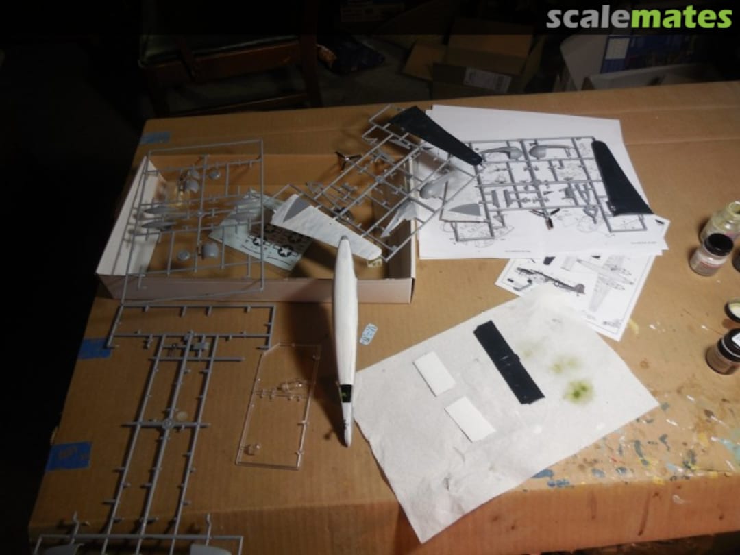 View album, image #1 View album, image #1