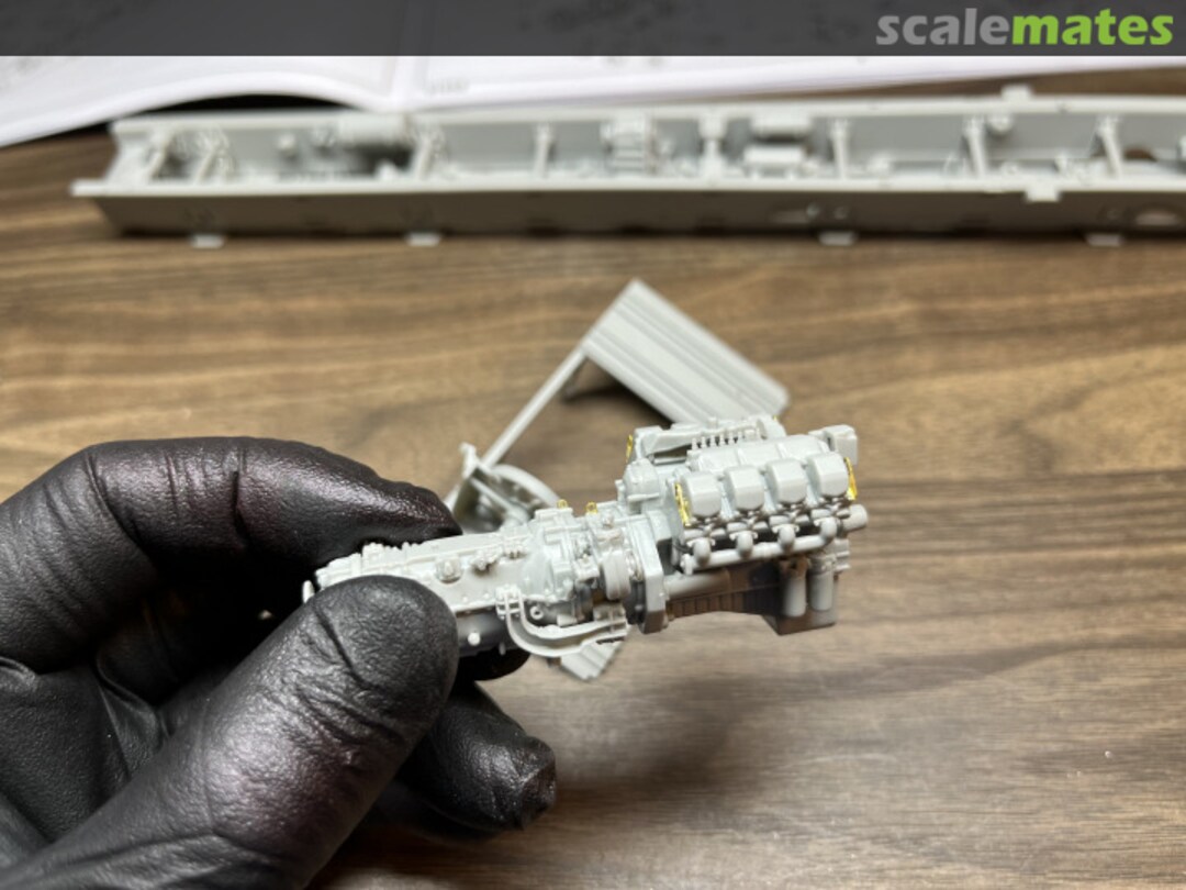 View album, image #1 View album, image #1