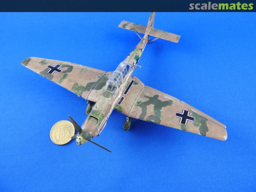 View album, image #1 View album, image #1