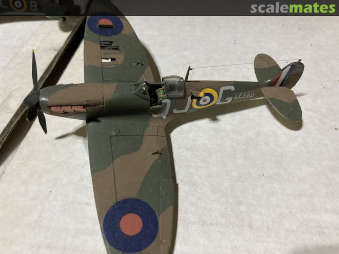 View album, image #1 View album, image #1