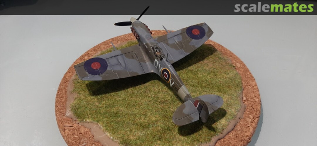 View album, image #1