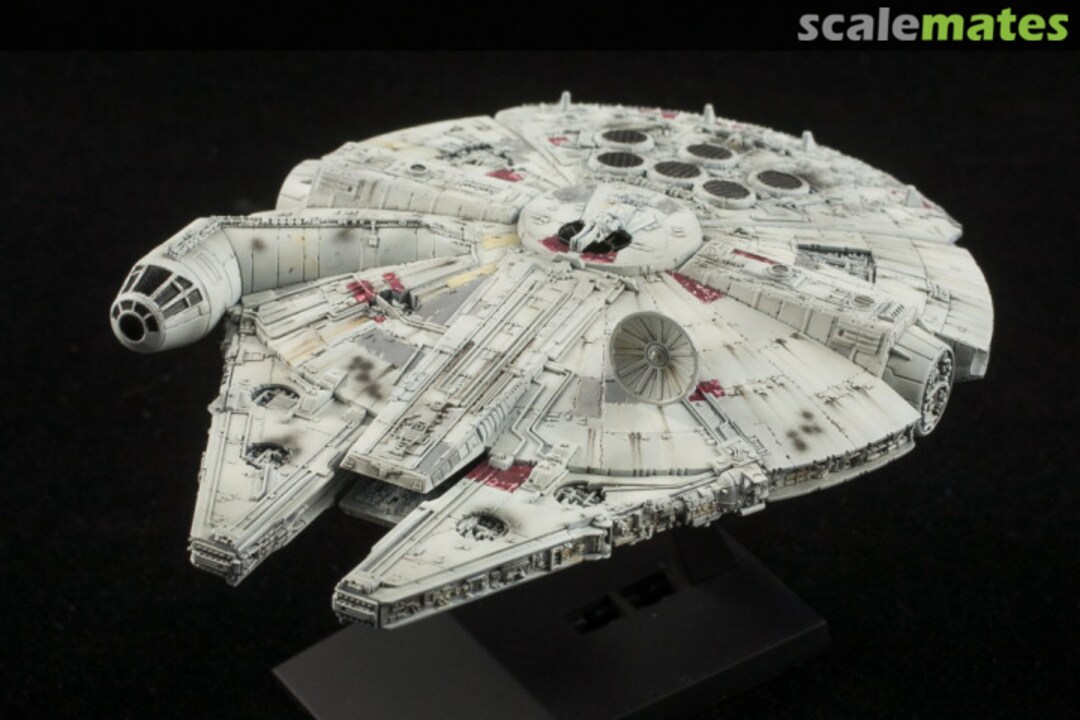 View album, image #1 View album, image #1