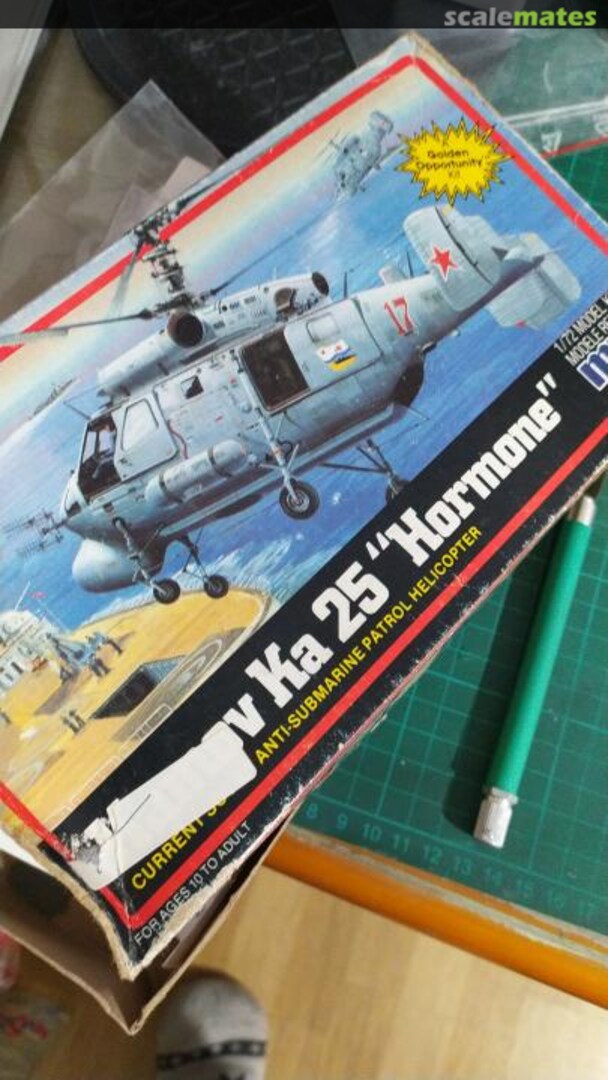 View album, image #1 View album, image #1