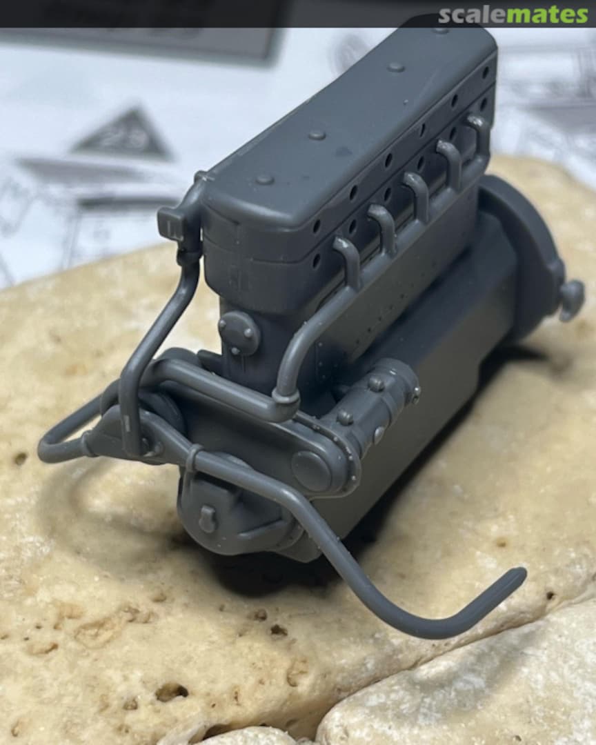 View album, image #1 View album, image #1