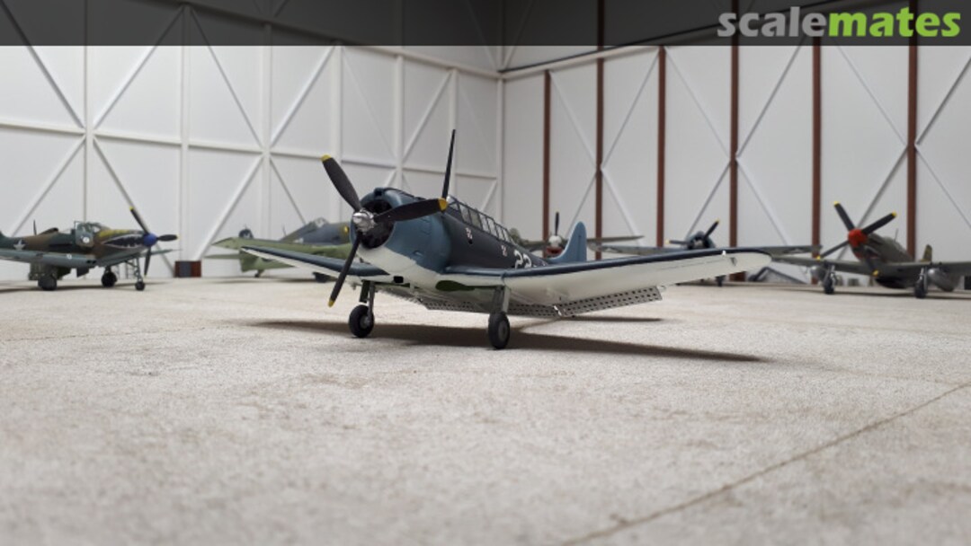 View album, image #1 View album, image #1